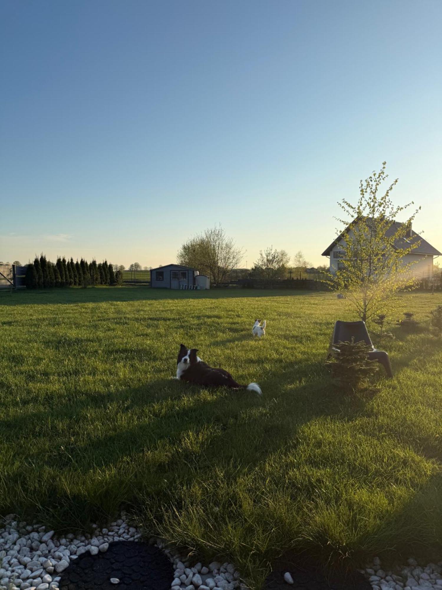 Sielskieprzylesie Charzyno Luaran gambar